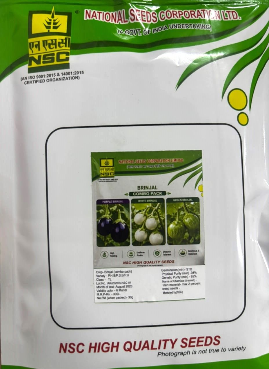 NSC Brinjal (Combo Pack) Variety P.H.B/ P.S.B/ P.U. Vegetable Seed (30 Gm Seed)