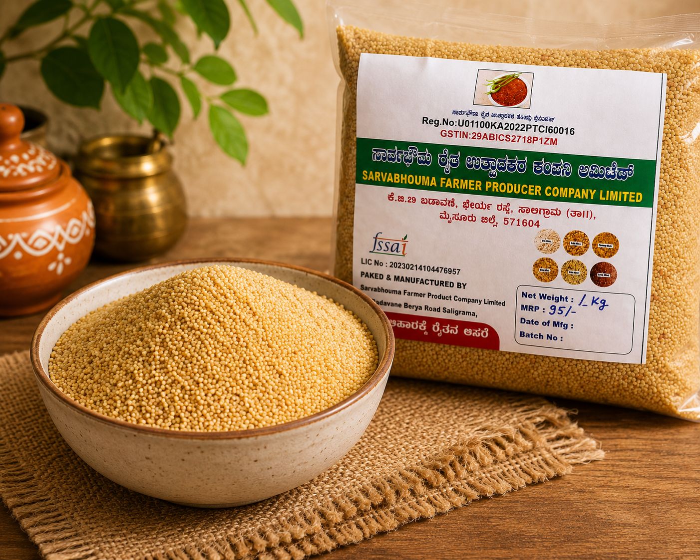 Foxtail millet