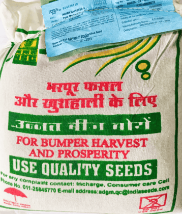NSC MUSTARD-PM-32 SEED C/S