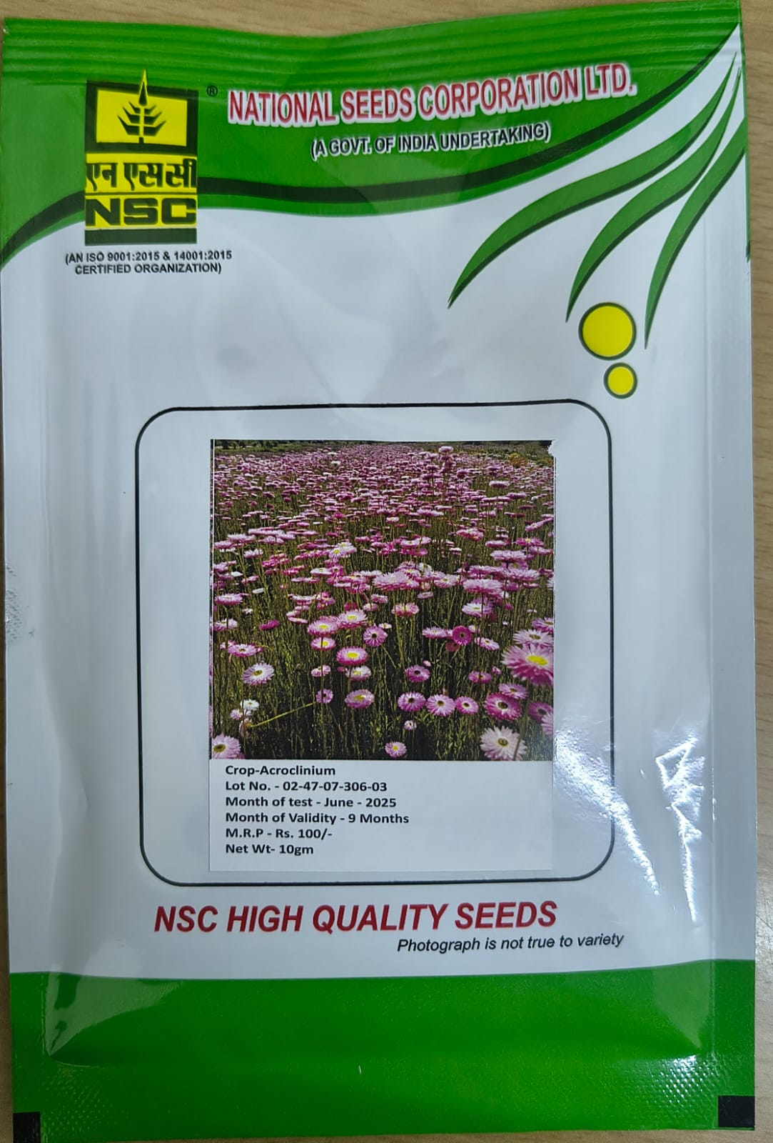 NSC Acroclinium flower seed, 10gm