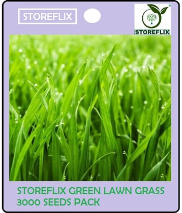 STOREFLIX - Bermuda Green Grass ( 3000 Seeds )