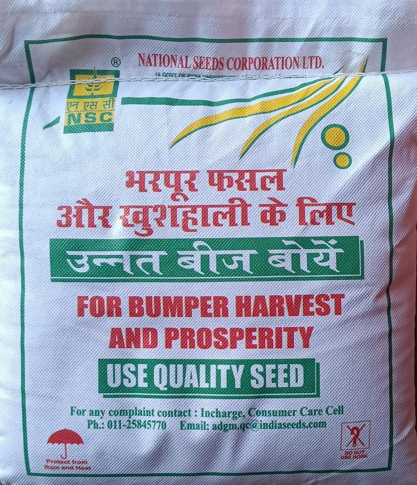 NSC Mustard RH-761 CS seed 2 Kg Bag