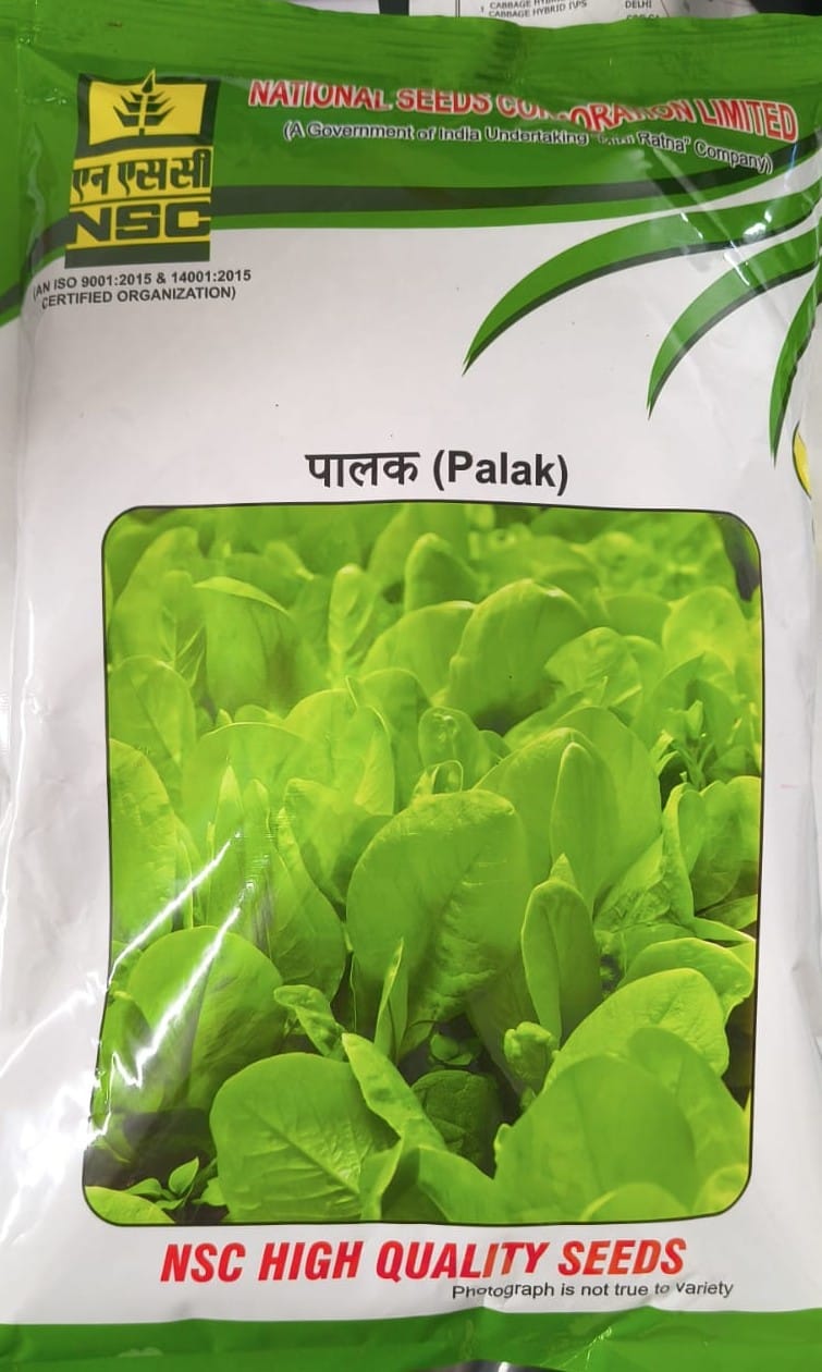 NSC-Palak Variety All Green 50g  Seed