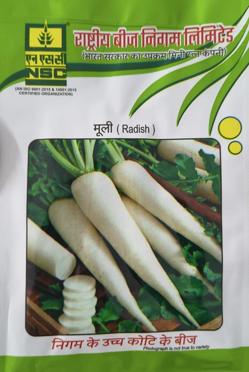 NSC Radish- Japanese white 10 gram