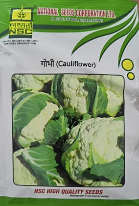 NSC Cauliflower  PSBK-1 25g Truthful Label Seed