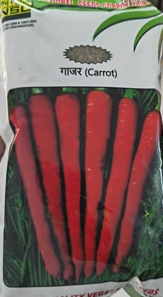 NSC Carrot-Pusa Rudhira, 500g Truthful Labelled Seeds