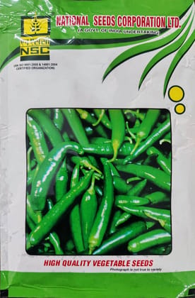 Nsc Chilli Kashi Anmol T/L 25 GM Seed