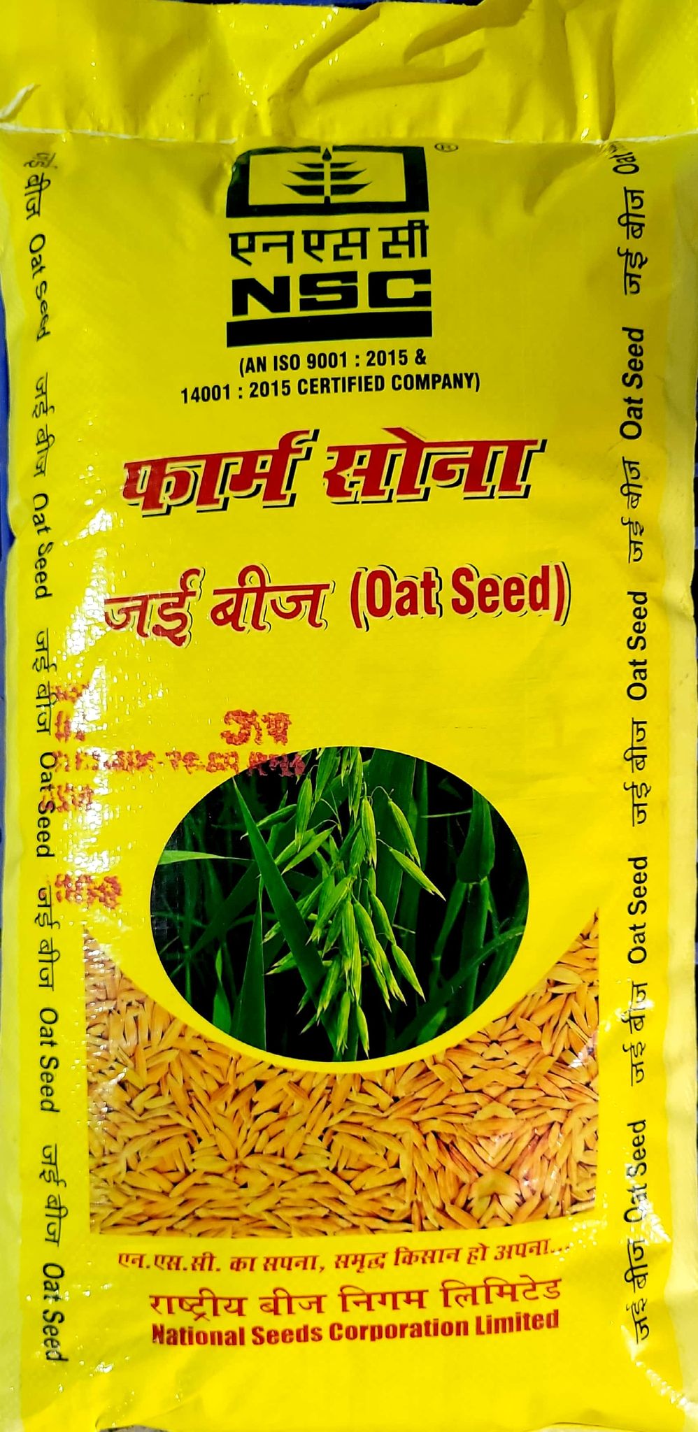 NSC Oat ( Avena Sativa) Variety- Kent Certified Seed (C/S) 10 kg bag