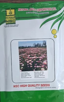 NSC Acroclinium Flower Seed, 10gm