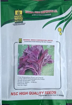 NSC Amaranthus Pusa Lal Chaulai (10 Gm Seed)