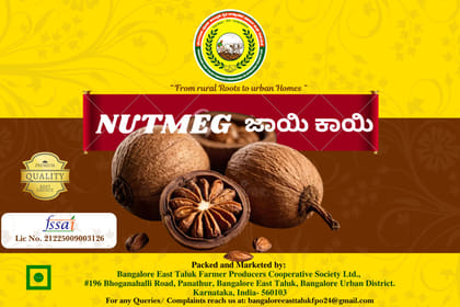 Nutmeg