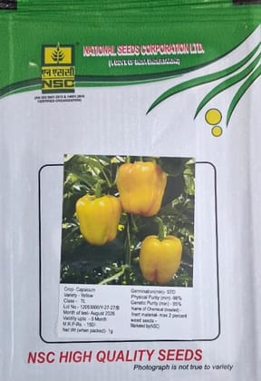 NSC Capsicum Yellow TL Seed (1 Gm Seed)