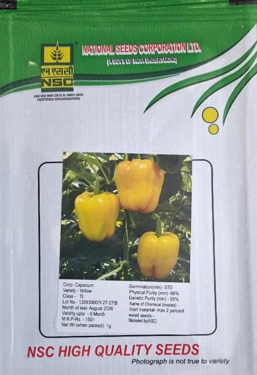NSC Capsicum Yellow TL Seed (1 Gm Seed)