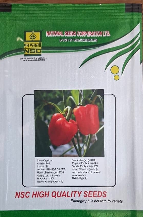 NSC Capsicum Red TL Seed (1 Gm Seed)