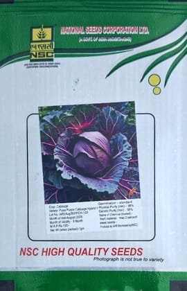 NSC Cabbage Variety- Pusa Purple Cabbage Hybrid-1 TL Seed (1 Gm Seed)
