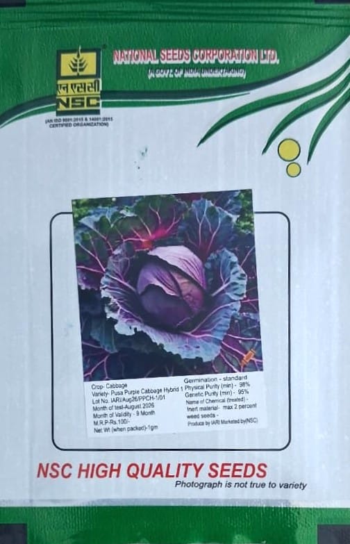 NSC Cabbage Variety- Pusa Purple Cabbage Hybrid-1 TL Seed (1 Gm Seed)