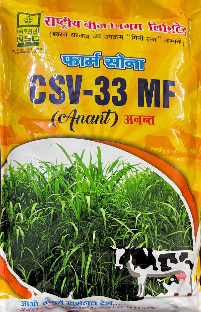 NSC Fodder Sorghum CSV-33 MF Seed, 1kg