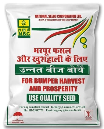 NSC Mustard/RH-725 C/S 2 KG SEEDS