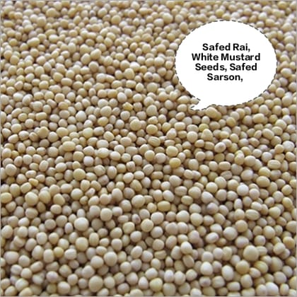 Safed Rai, White Mustard Seeds, Safed Sarson, White Rai Dana, Yellow Mustard Seeds 500gm Safed Rai, White Mustard Seeds, Safed Sarson, White Rai Dana, Yellow Mustard Seeds 500gm