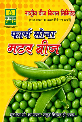Pea Matar Ageta-7 Truthfully Labeled Seed 1 Kg Pouch