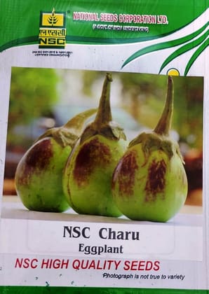 NSC Charu Eggplant Brinjal Seeds 5gm pack