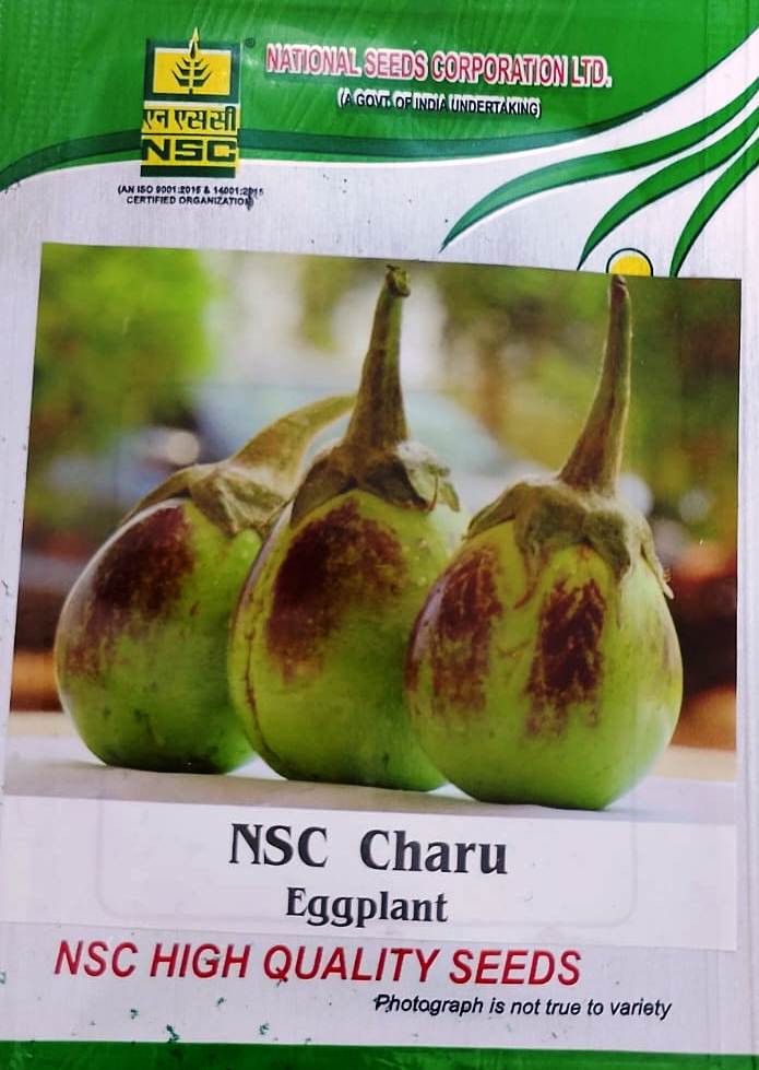 NSC Charu Eggplant Brinjal Seeds 5gm pack