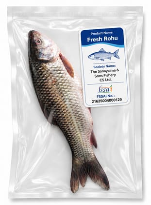 Fresh Rohu