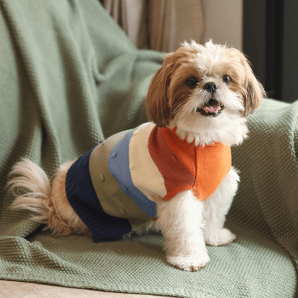 Pet Set Go Multi Coloured Sweater for Dogs - 2XL