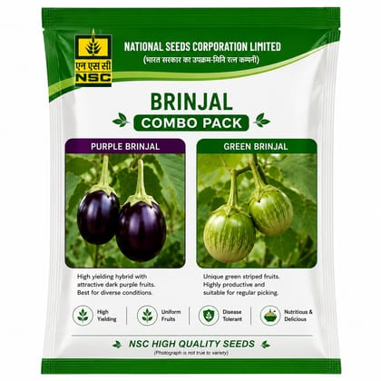 NSC Brinjal Seed Combo pack (Purple and Green Brinjal)