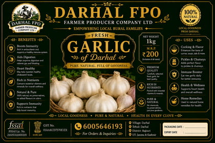 Darhal FPO Fresh Garlic - 1kg Pack