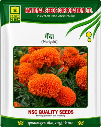 NSC Flower-Marigold- Pusa Narangi- 10 g truthfully Labelled Seed Pouch