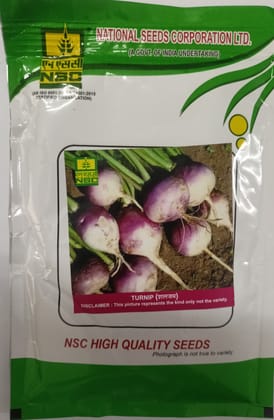 Nsc Turnip, Ptwg, 100 Gram Truthfully Labelled Seed Pouch