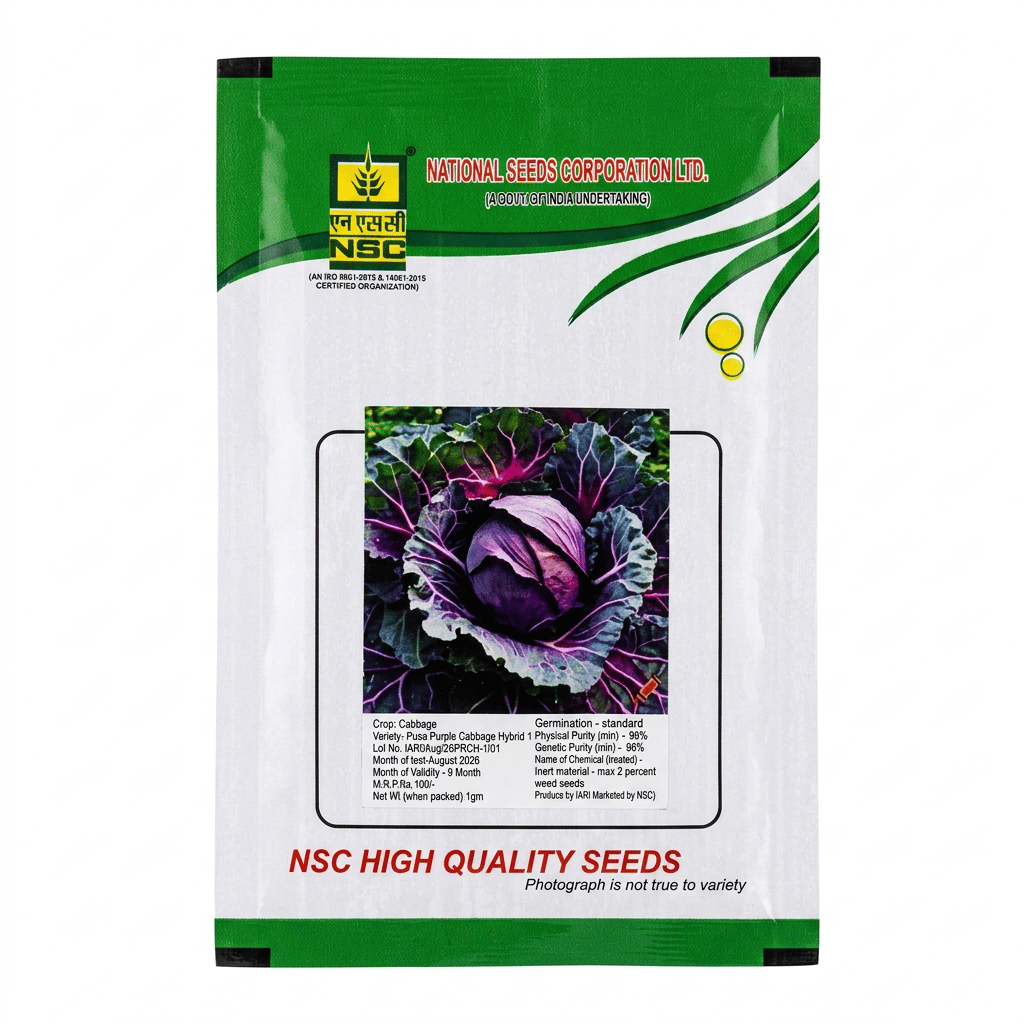 NSC CABBAGE VARIETY-PUSA PURPLE CABBAGE HYBRID -1 T/L 1GM PACKING VEGETABLE SEEDS