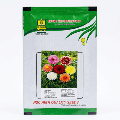 NSC DAHELIA T/L FLOWER SEEDS 10GM PACKING NSC DAHELIA T/L FLOWER SEEDS 10GM PACKING