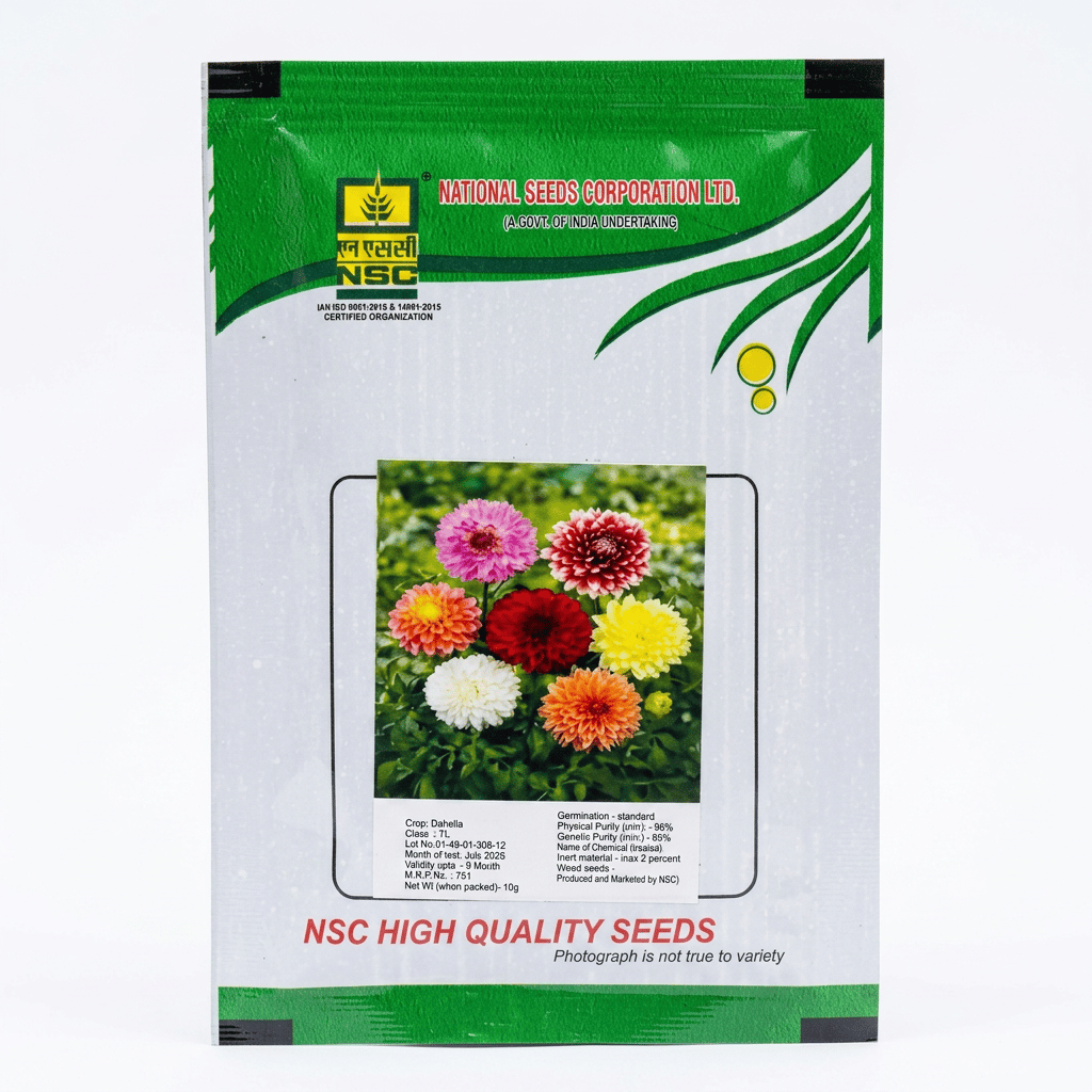 NSC DAHELIA T/L FLOWER SEEDS 10GM PACKING 