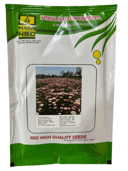 NSC ACCROCLINUM T/L 10GM PACKING FLOWERS SEEDS