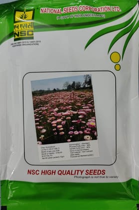 NSC Acroclinum High Quality Flower Seeds 10g