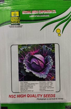 NSC High Quality Pusa Purple Cabbage Hybrid 1 Seeds