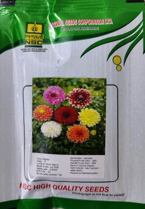 NSC Dahlia Flower High Quality seed 10 gm
