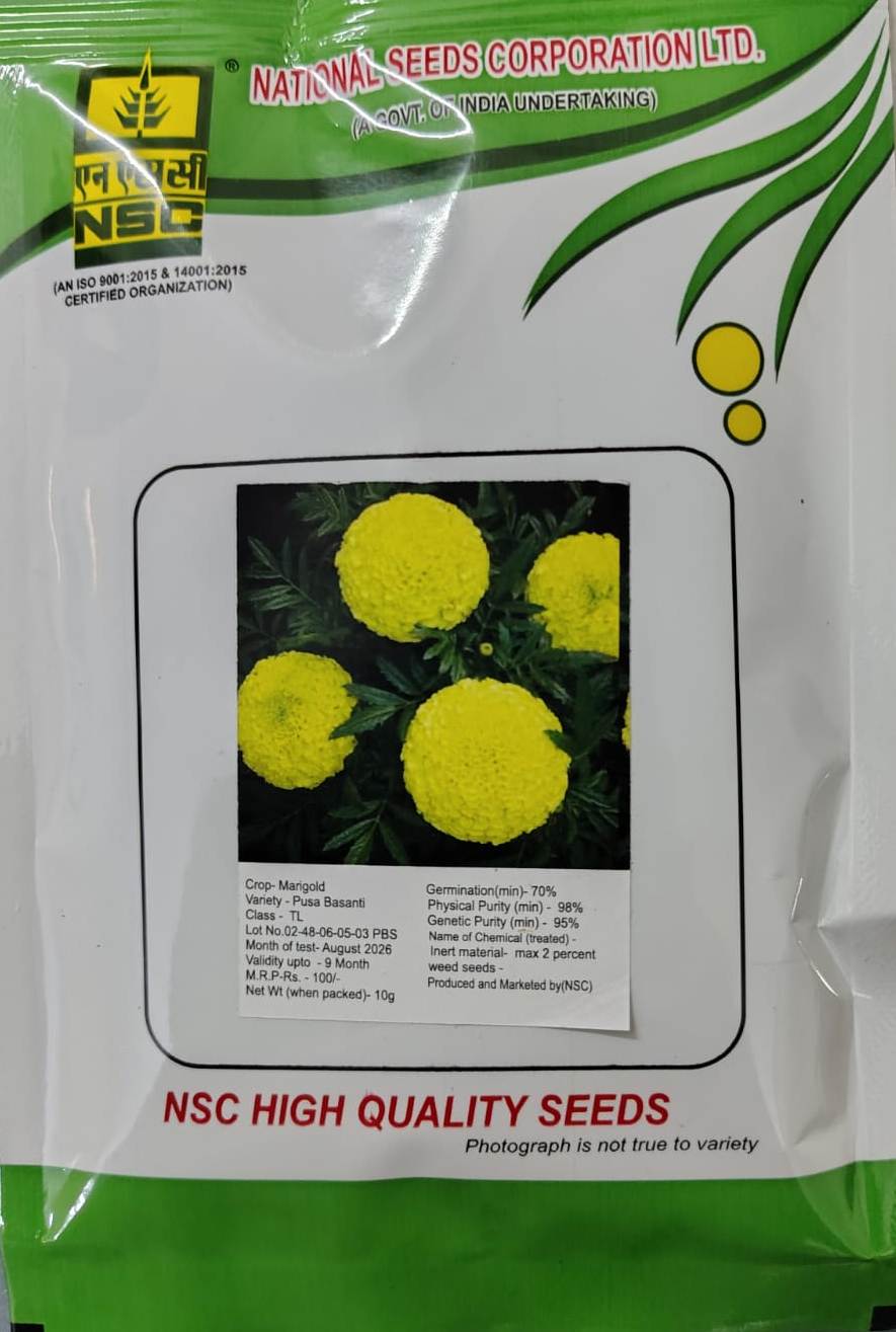 NSC MARIGOLD SEED PUSA BASANTI 10 GM
