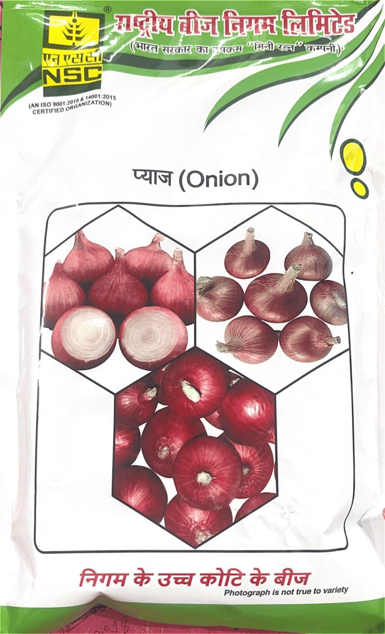NSC Vegetable Seed Onion Variety: Bhima Shakti,TL, 250 Gms