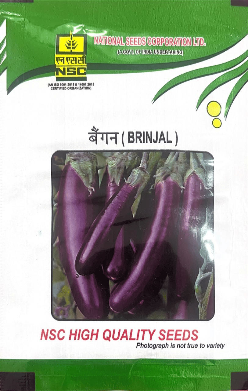 NSC Vegetable Seed Brinjal PPC TL 10 gms