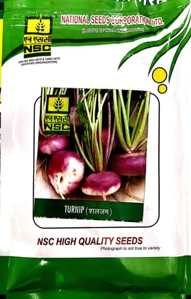 NSC TURNIP VARIETY PTWG HIGH QUALITY TL SEED 100 GMS POUCH