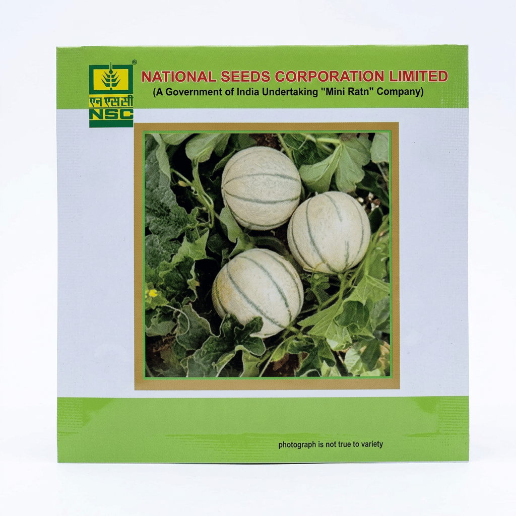 NSC Musk Melon variety-PUSA KAJRI, 5gm of TL seed