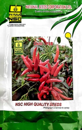 NSC CHILLI PUSA SADBAHAR (PSB) HIGH QUALITY TL SEED 50 GMS POUCH