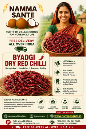 Byadgi Dry Red Chilli | Sukhi Lal Mirch | Ona Menasinakayi | Endu Mirapakaya | Kaayndha Milagai | Sukya Lal Mirchya Byadgi Dry Red Chilli | Sukhi Lal Mirch | Ona Menasinakayi | Endu Mirapakaya | Kaayndha Milagai | Sukya Lal Mirchya