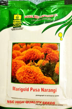 NSC Marigold Pusa Narangi Seeds (10g)