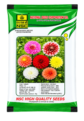 NSC Dahlia High Quality Seeds (10g)(top star mix)