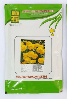 NSC High Quality Marigold Pusa Bahar Seeds 10g