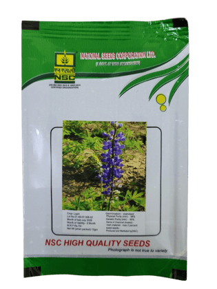 NSC Lupin T/L Seeds, 10 GM Packing